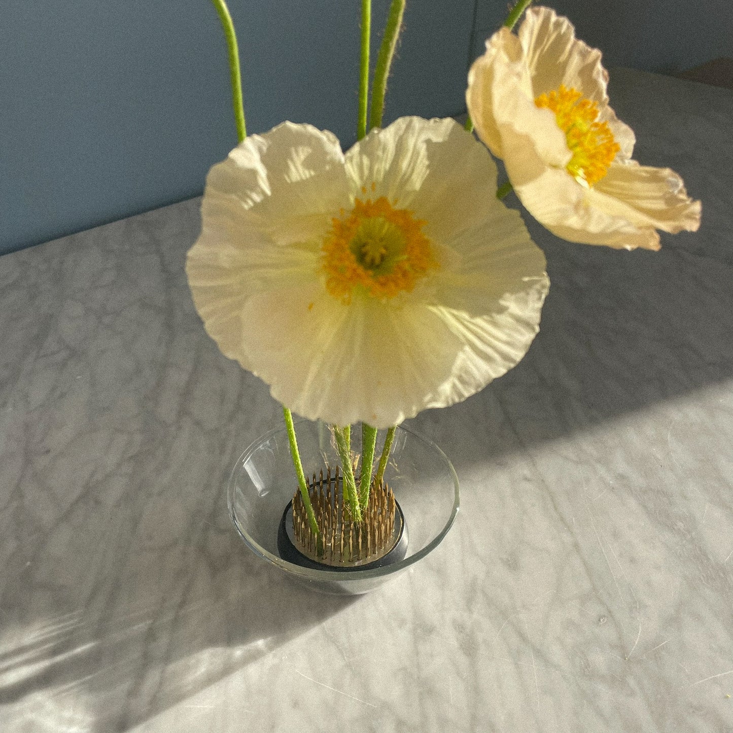 STEM VASE