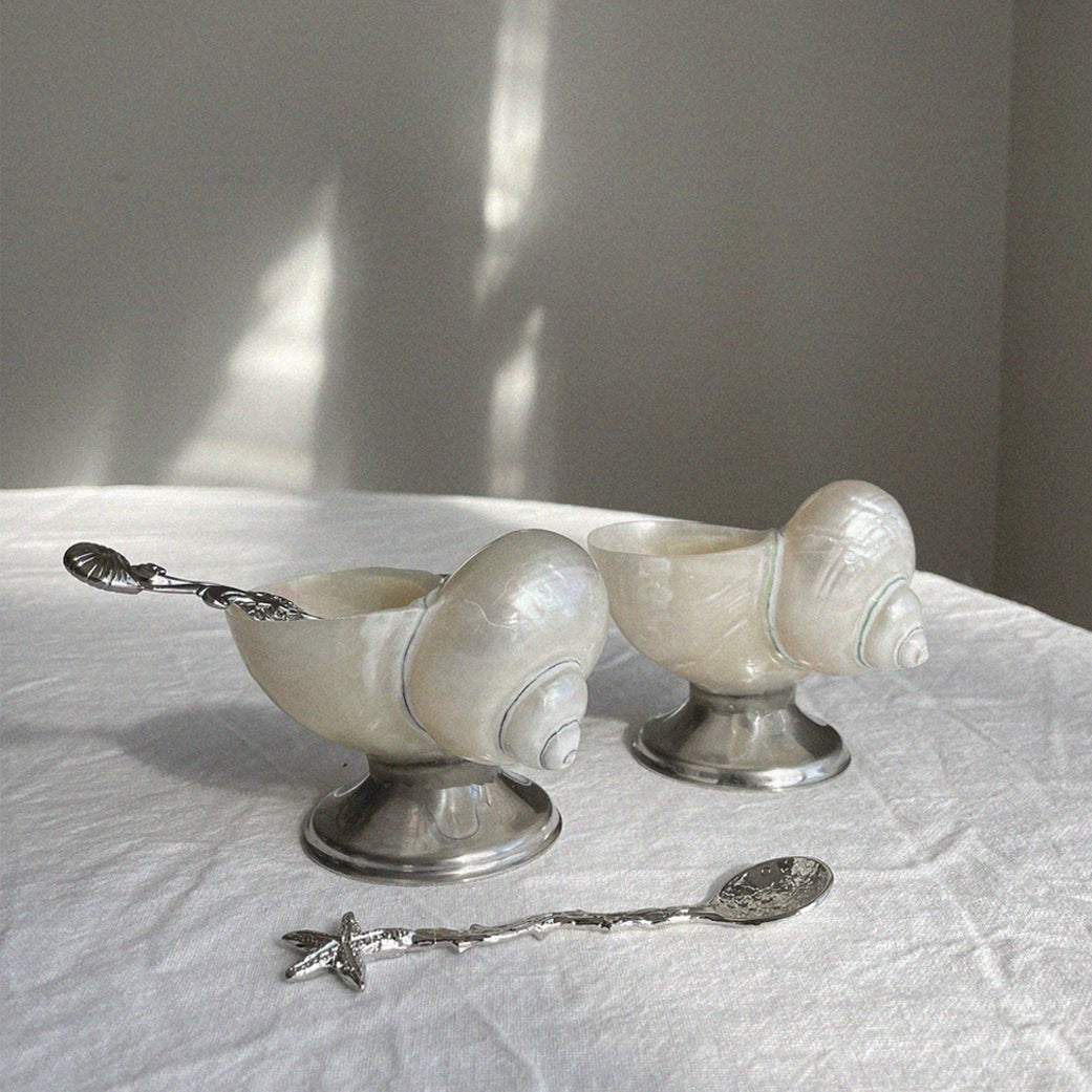 SHELL BOWL
