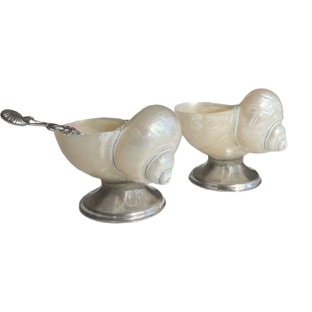 SHELL BOWL