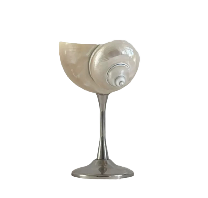 SHELL CHAMPAGNE COUPE – Lou Lou